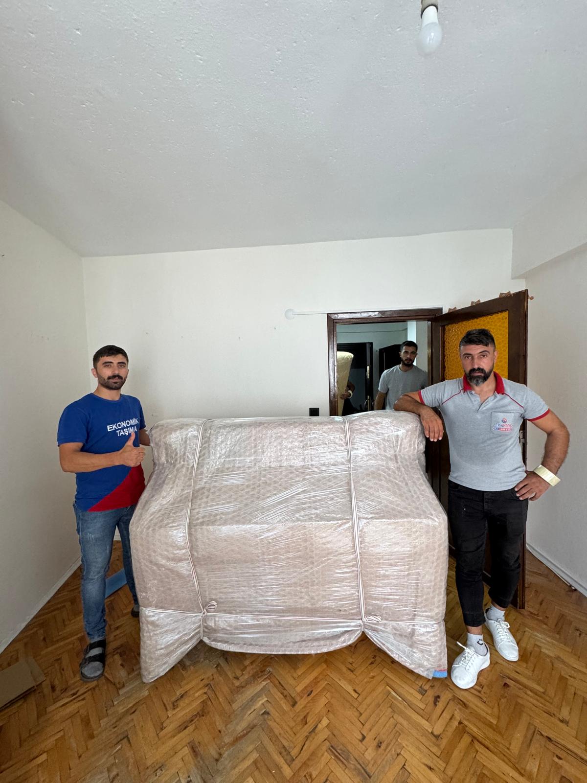 Profesyonel Taşıma